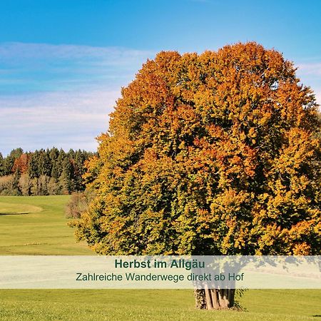 Chalet - Ferienwohnungen - Biohof Stoeger - Panoramasuedbalkon - Grandiose Aussicht Auf See, Berge Und Schloss Neuschwanstein Rieden Ngoại thất bức ảnh