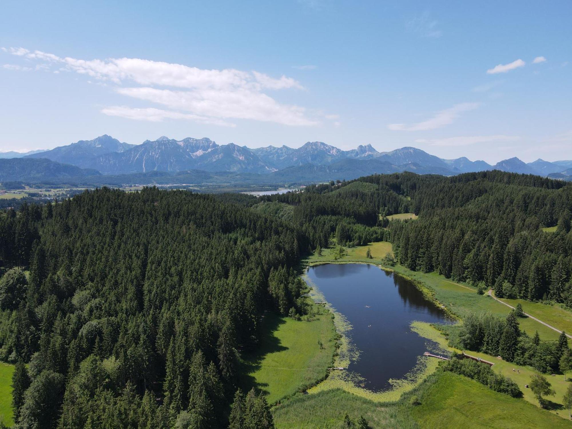 Chalet - Ferienwohnungen - Biohof Stoeger - Panoramasuedbalkon - Grandiose Aussicht Auf See, Berge Und Schloss Neuschwanstein Rieden Ngoại thất bức ảnh