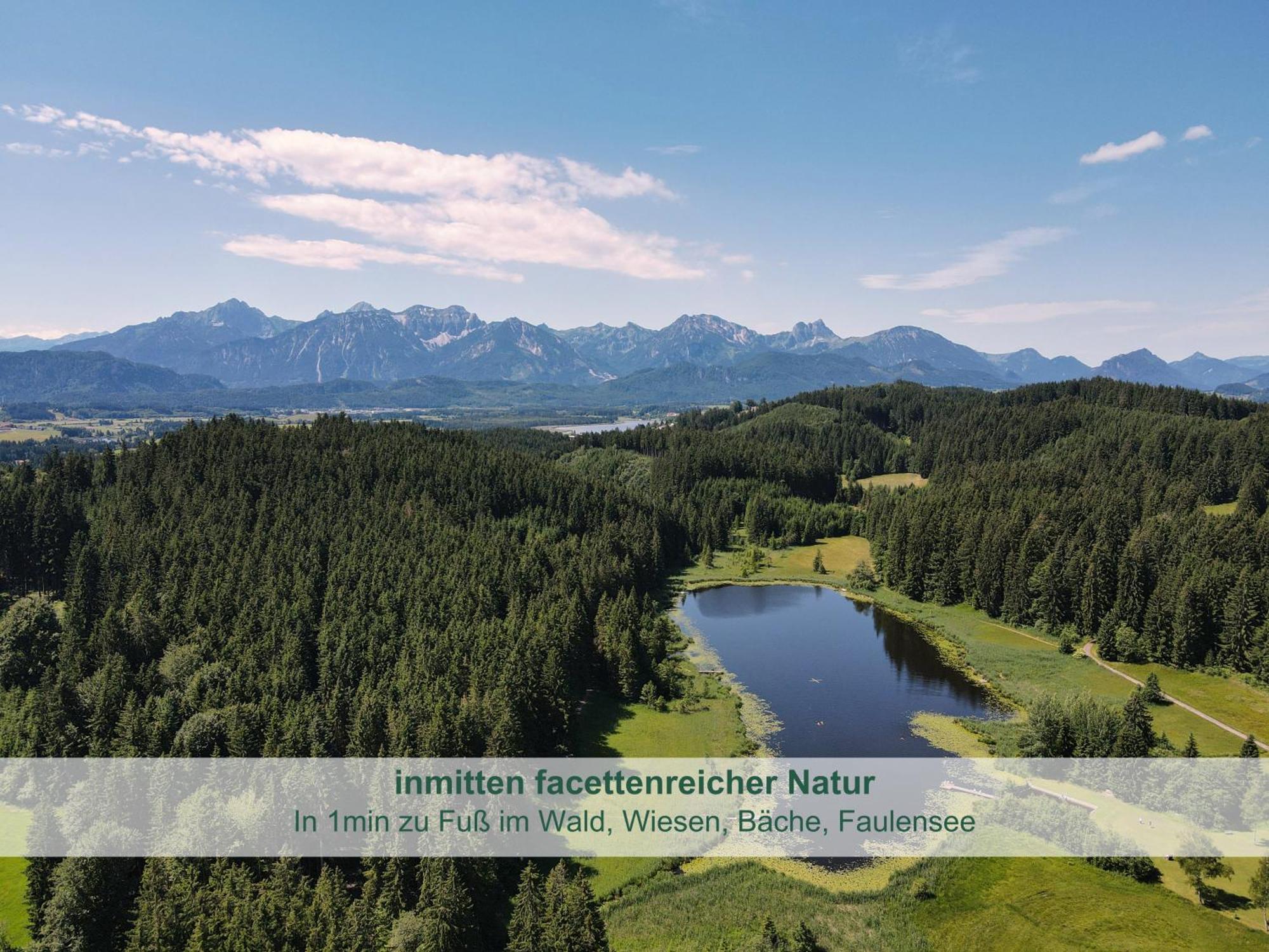 Chalet - Ferienwohnungen - Biohof Stoeger - Panoramasuedbalkon - Grandiose Aussicht Auf See, Berge Und Schloss Neuschwanstein Rieden Ngoại thất bức ảnh