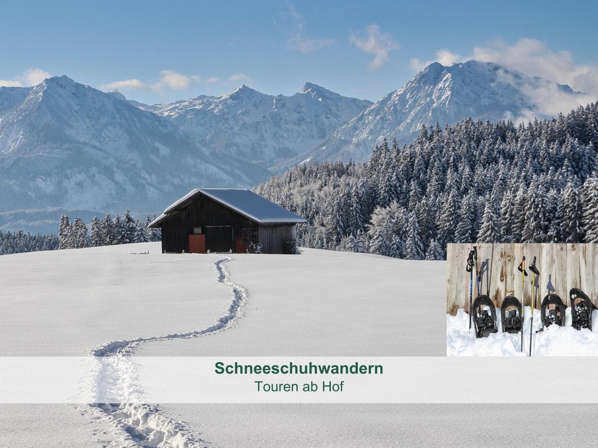 Chalet - Ferienwohnungen - Biohof Stoeger - Panoramasuedbalkon - Grandiose Aussicht Auf See, Berge Und Schloss Neuschwanstein Rieden Ngoại thất bức ảnh