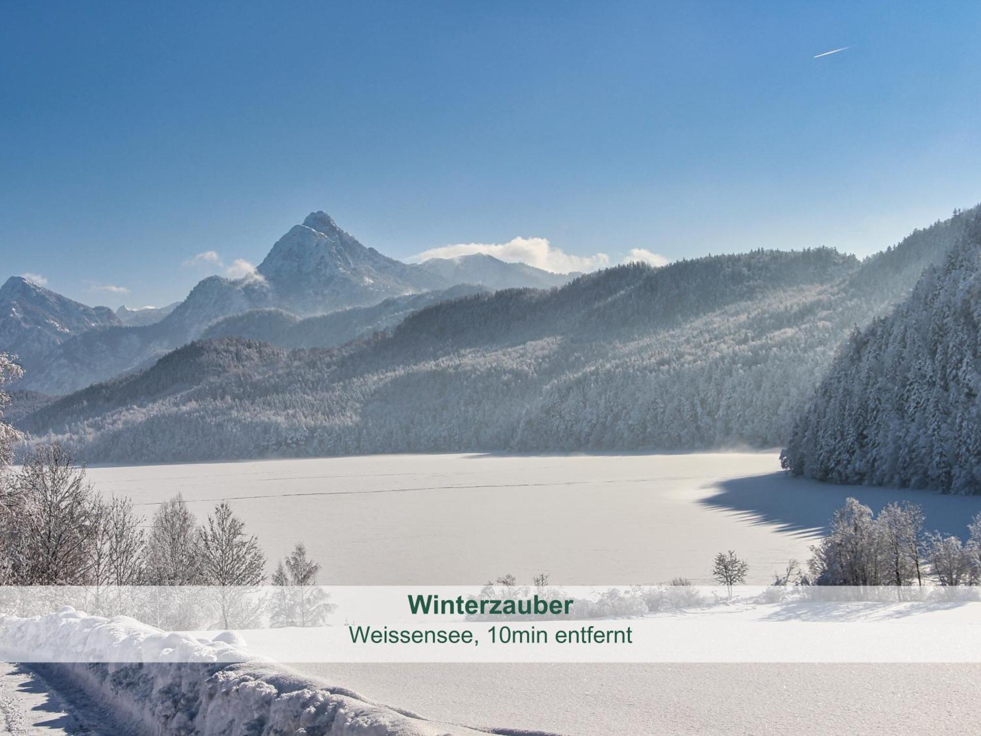 Chalet - Ferienwohnungen - Biohof Stoeger - Panoramasuedbalkon - Grandiose Aussicht Auf See, Berge Und Schloss Neuschwanstein Rieden Ngoại thất bức ảnh