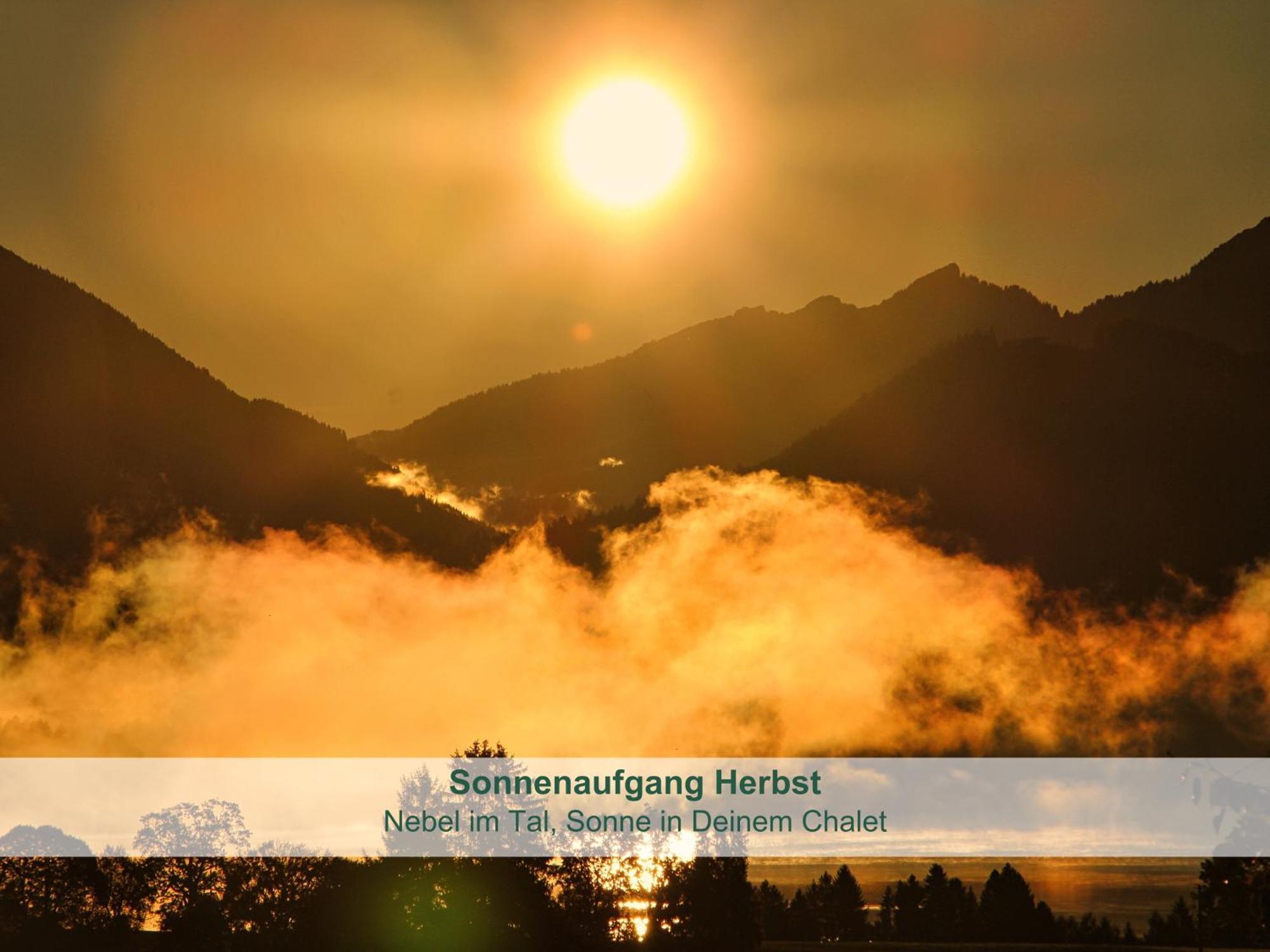 Chalet - Ferienwohnungen - Biohof Stoeger - Panoramasuedbalkon - Grandiose Aussicht Auf See, Berge Und Schloss Neuschwanstein Rieden Ngoại thất bức ảnh